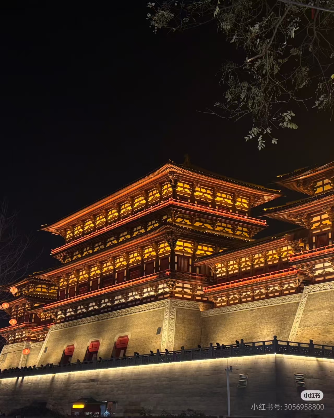 洛阳5